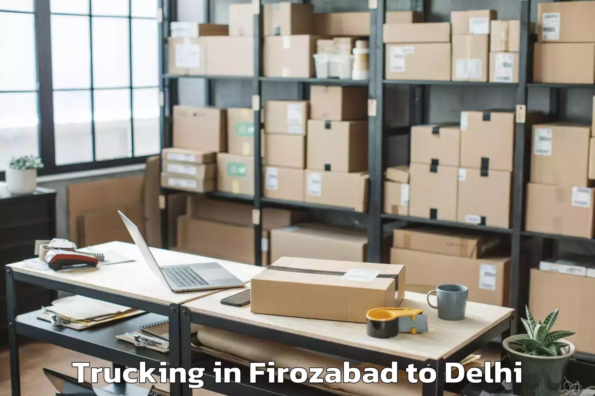 Book Firozabad to Sansad Marg Trucking